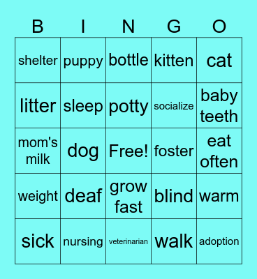 Puppy And Kitten Bingo Card