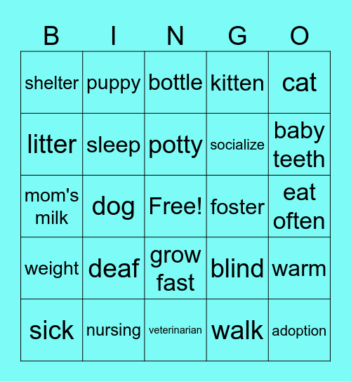 Puppy And Kitten Bingo Card