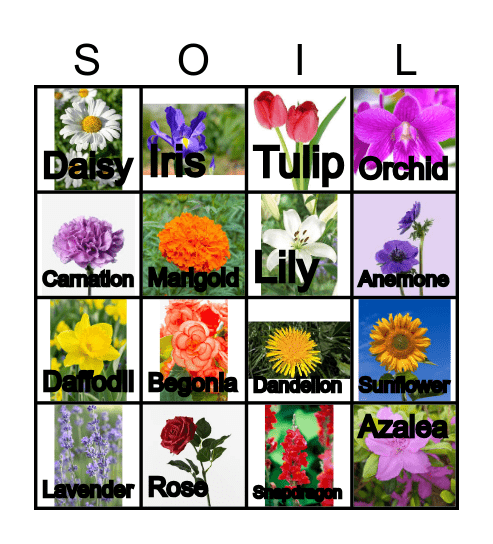 Flower Bingo Card