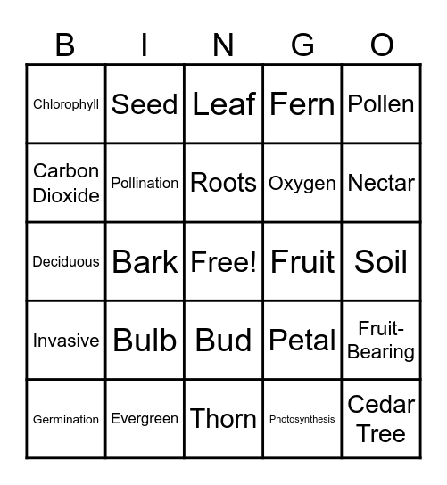 Plant Vocabulary Bingo Card