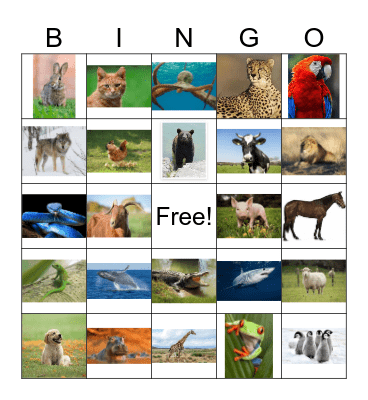 Spanish Animals Bingo Card