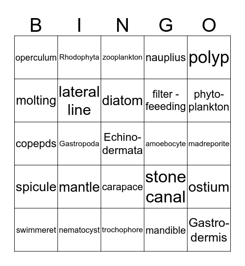 Marine Biology Bingo Card