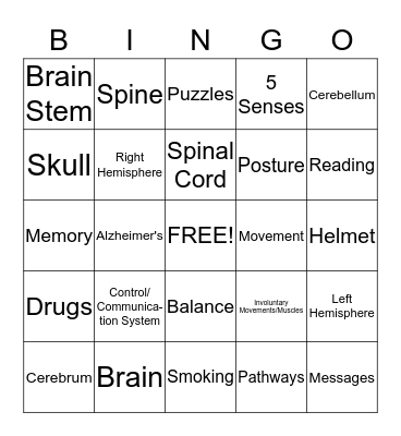 The Nervous System Bingo Card