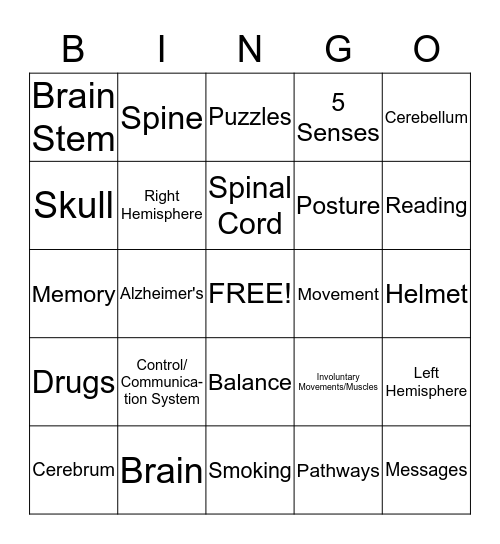 The Nervous System Bingo Card