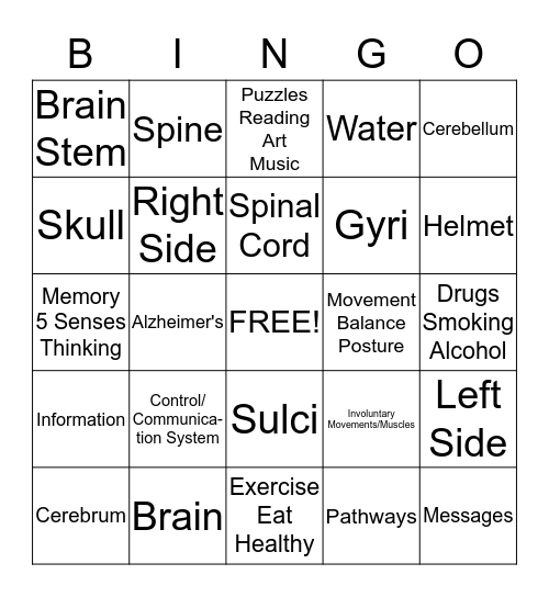 The Nervous System Bingo Card