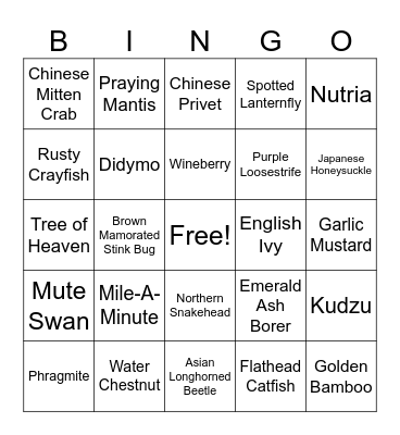 Invasive Species Bingo Card