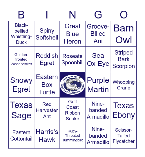 Wildlife Bingo at the Preserve Bingo Card