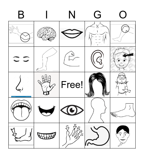 Körperteile Bingo Card