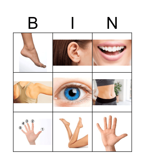 BODY Bingo Card