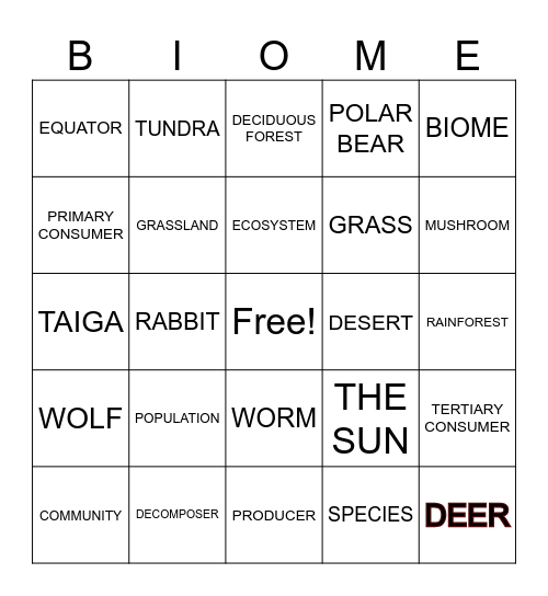 ECOSYSTEM BINGO Card