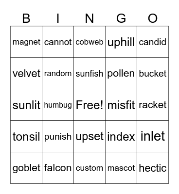 CVVC Words! Bingo Card