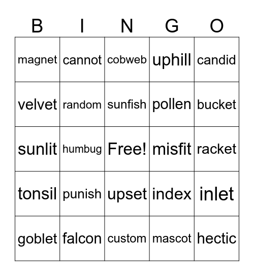 CVVC Words! Bingo Card