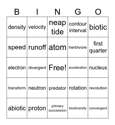 STAAR Review Bingo Card