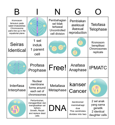Mitosis Bingo Card