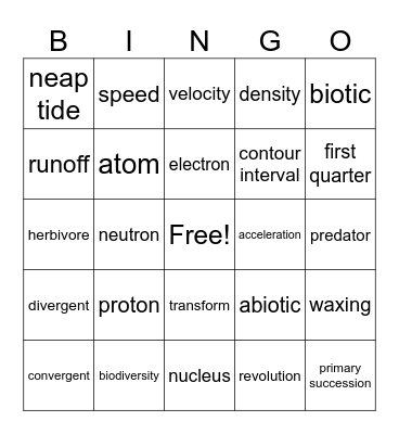 STAAR Review Bingo Card