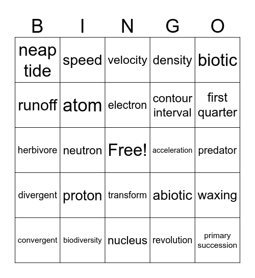 STAAR Review Bingo Card