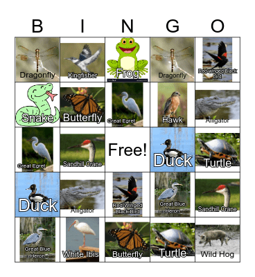 Florida Wildlife - Lake Apopka Nature Trail Bingo Card