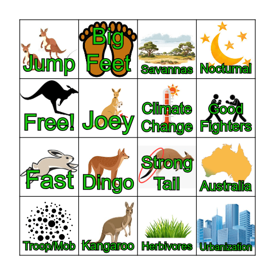 Kangaroo Bingo Card