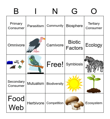 Ecology Bingo Card