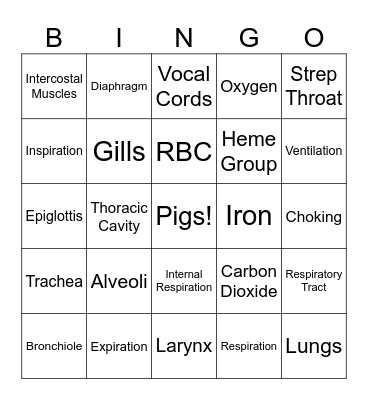 Respiratory System Bingo Card