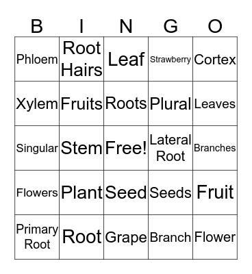 Parts of Plants Bingo Card