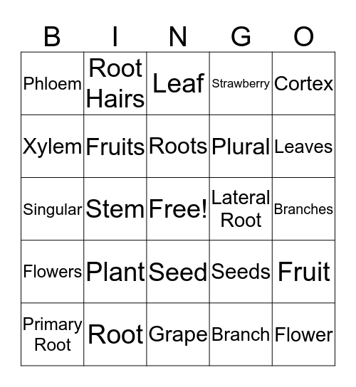 Parts of Plants Bingo Card