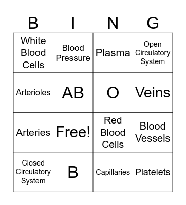 Blood and Circulation! Bingo Card