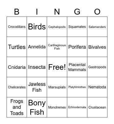 Animal Classification Bingo Card