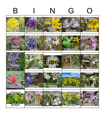 Wildflower Bingo Card