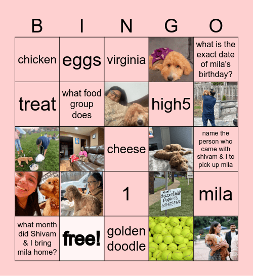 MILA Bingo Card