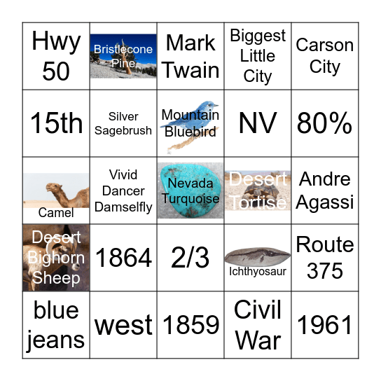 BINGO NV Bingo Card