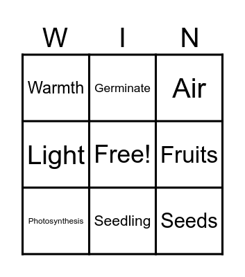 All About Plants! Bingo Card