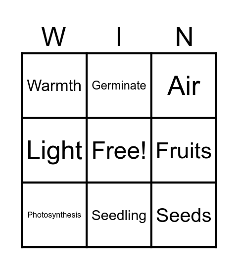 All About Plants! Bingo Card