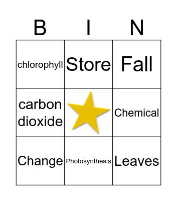 Why Do Leaves Change Color Vocabulary  Bingo Card