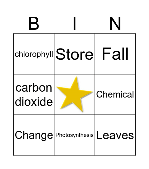 Why Do Leaves Change Color Vocabulary  Bingo Card