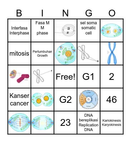 Mitosis Bingo Card