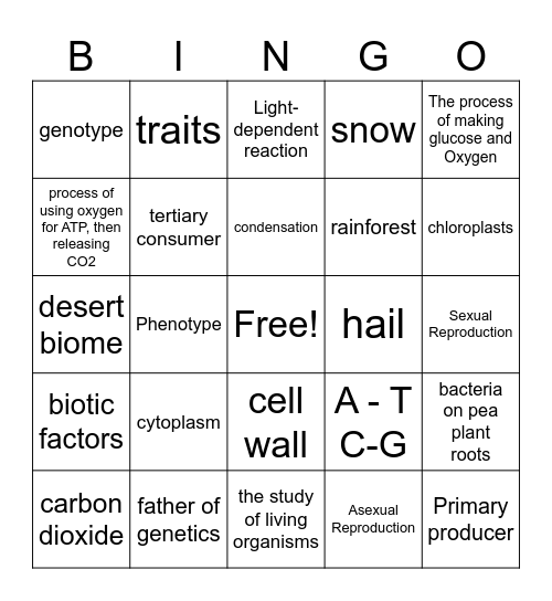 EOC Bingo Card