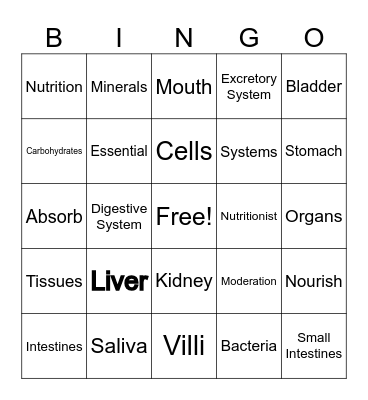 Human Body Bingo Card