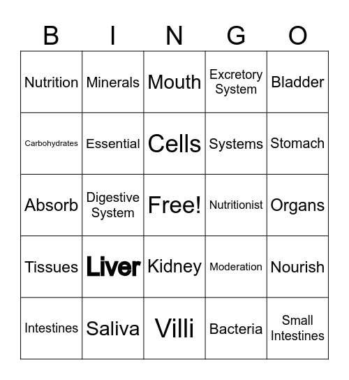 Human Body Bingo Card