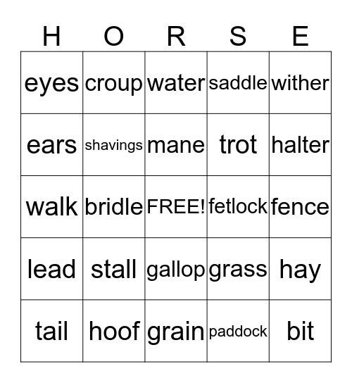 Rescue Horse Bingo Card