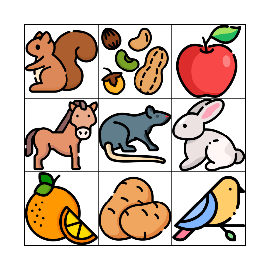 DIETA PALEOLÍTICA Bingo Card