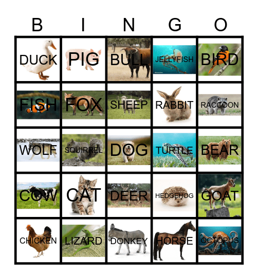Spanish Animals Bingo Card