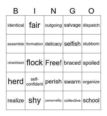 Vocabulary Bingo Card