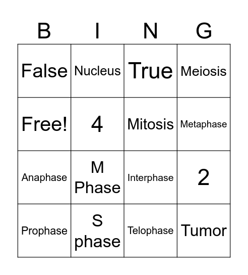 Cell Cycle Bing! Bingo Card