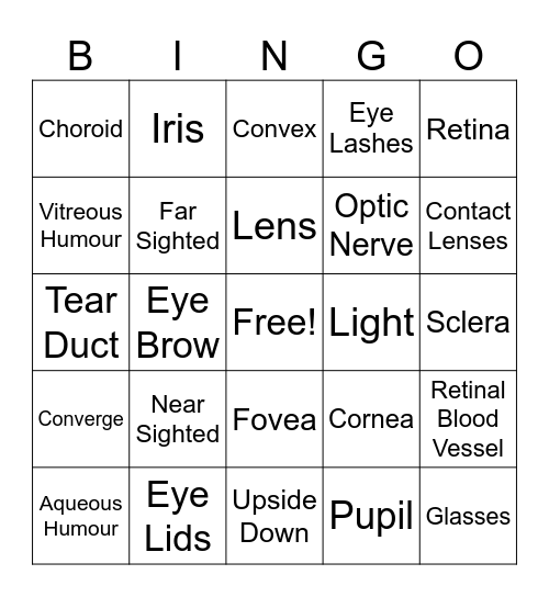 The Eye Bingo Card