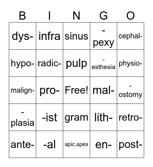 DV Lesson 4 & 5 Bingo Card