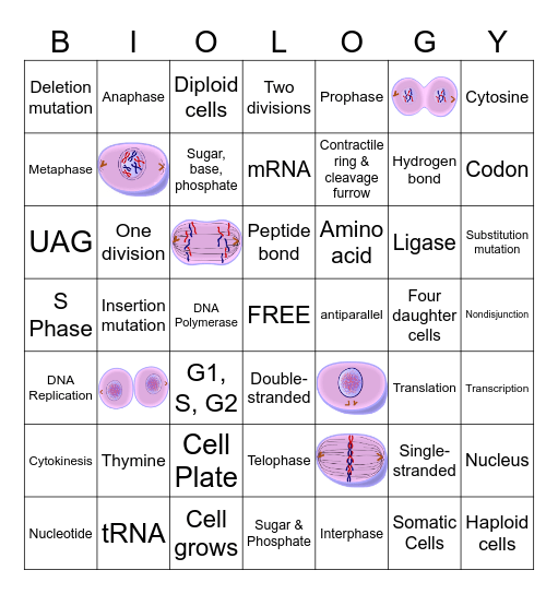 Unit 3B Bingo Card