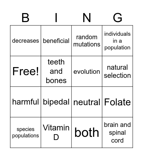 Natural Selection Bingo! Bingo Card