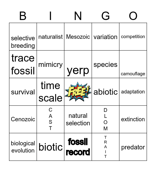 ENVIRONMENT & CHANGE OVER TIME Bingo Card