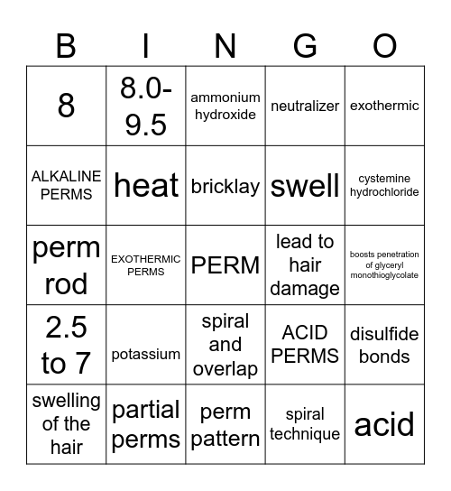 Perm Theory Bingo Card